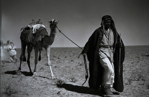 بادیه نشینان عربستان